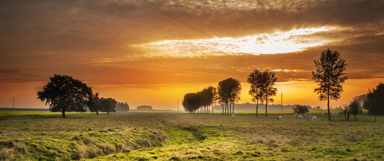 账号商城官方的短信压力测试