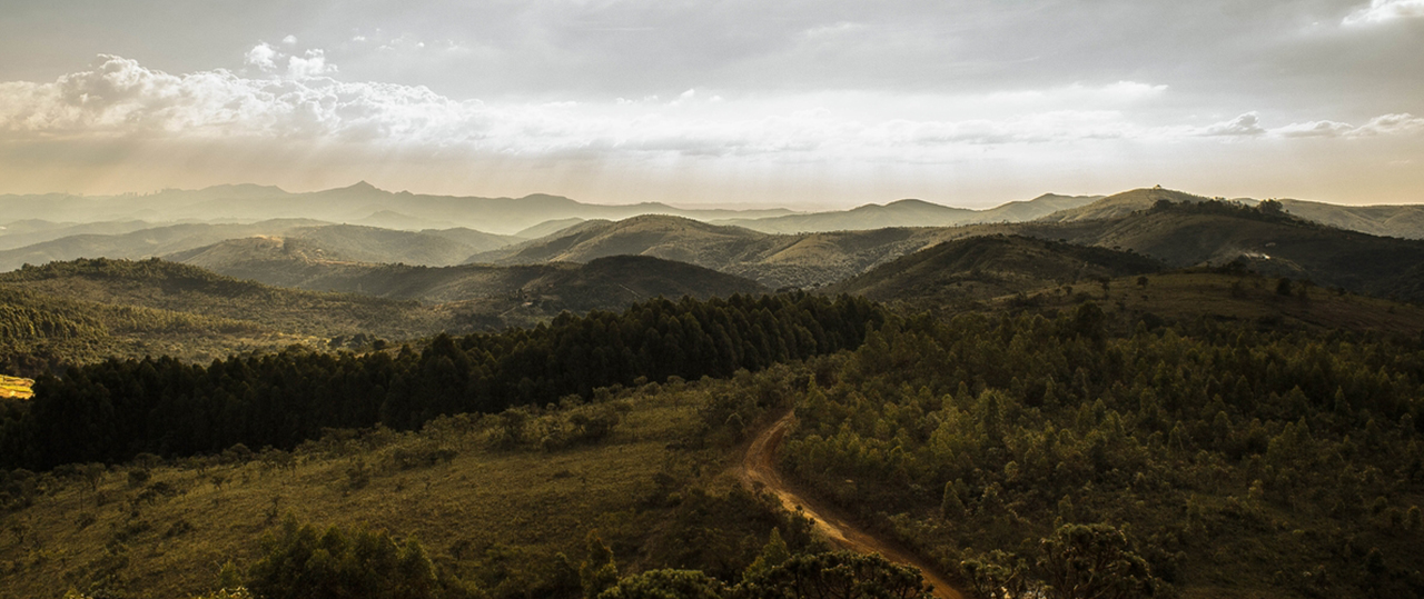 在线永久免费轰炸云呼