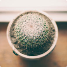 官方认证的在线手机号呼死你