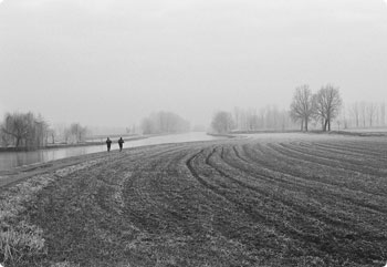 在线永久免费轰炸云呼