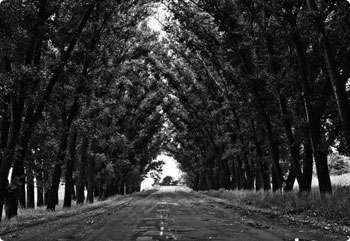 高级会员开通的电话轰炸平台